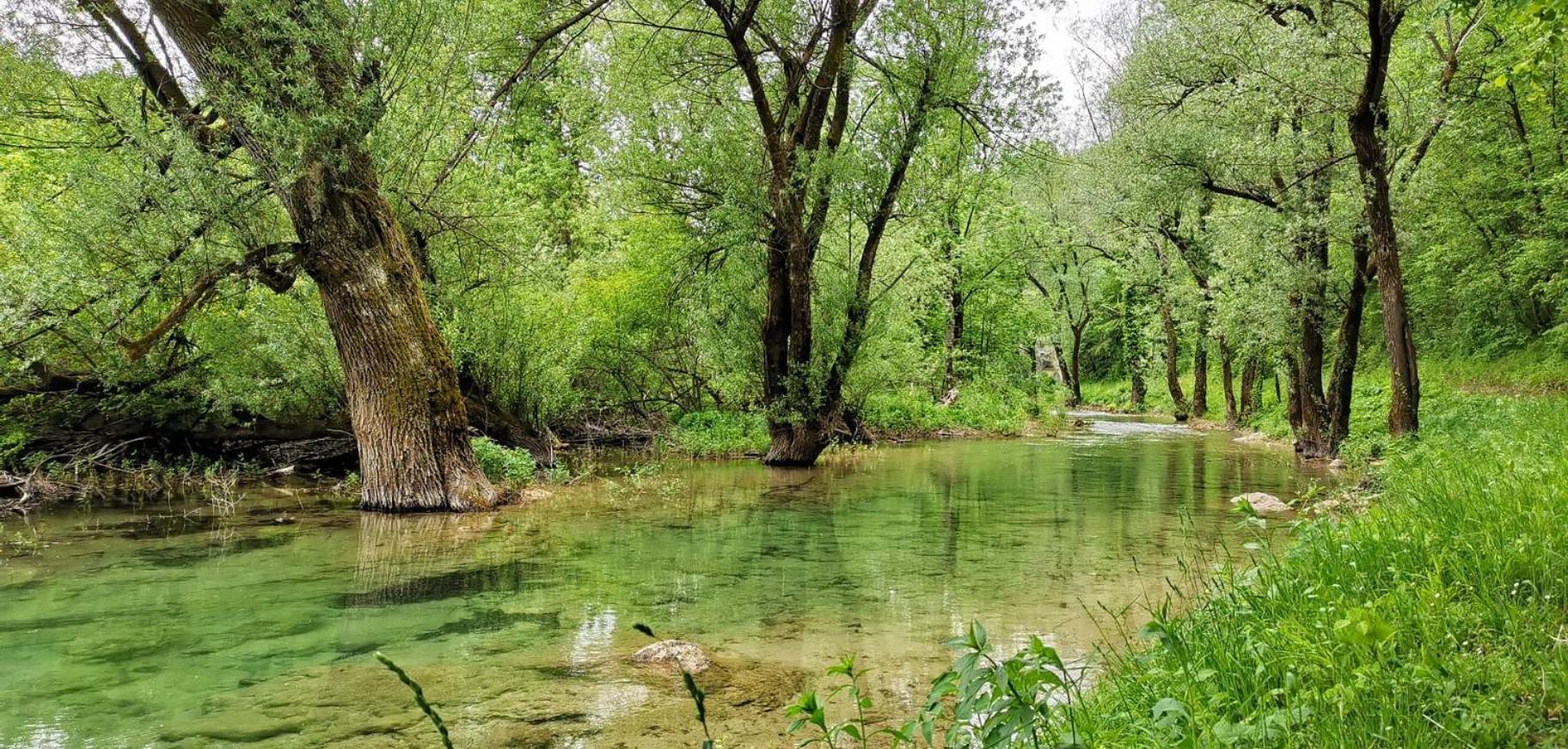 דירות סמולג'אנאק Plitvice Zg מראה חיצוני תמונה